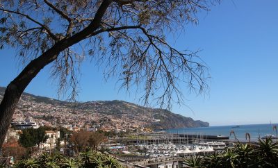 What to Expect from Madeira